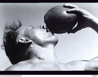 PARI BEACH, PAPUA, 1942-07-20. A MEMBER OF 20 PLATOON 49TH AUSTRALIAN INFANTRY BATTALION ENJOYING A LONG DRAUGHT OF COOL MILK FROM A COCONUT HE HAS OBTAINED BY CLIMBING A NEARBY TREE