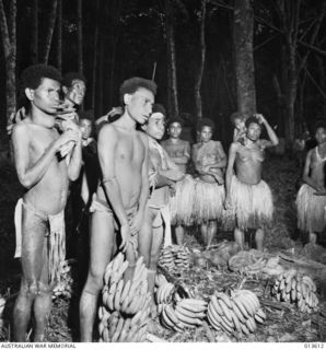1942-11-19. NEW GUINEA. KOKODA. NATIVES BRING IN FRUIT FOR ALLIED TROOPS. PAYMENT IS MADE ON THE BARTER PRINCIPLE. PAYMENT IS ALSO MADE IN TRADE TOBACCO. FOOD, USUALLY PLENTIFUL IN THIS AREA, IS ..