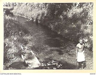 LAE, NEW GUINEA. 1944-12-12. A NATIVE ASSISTANT SUPPLIED BY ANGAU TO THE ARMY CANTEENS SERVICE SOFT DRINK FACTORY IN THE LAE BASE SUB-AREA, STANDS IN A SPRING FED CREEK. HE HAS CLEARED THE WATER ..