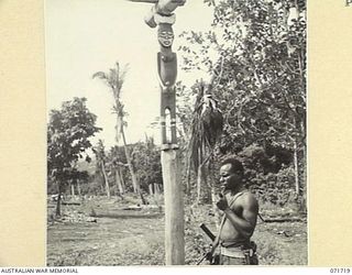 SINGORKAI - WEBBER POINT AREA, NEW GUINEA, 1944-03-21. MASONUM, SEPIK RIVER NATIVE, AND MEMBER OF "C" COMPANY, PAPUAN INFANTRY BATTALION, STANDS BESIDE A PILLAR WHICH SUPPORTS THE REMAINS OF A ..