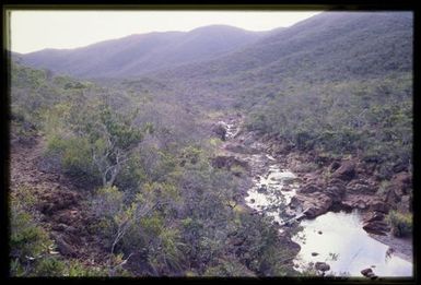 Maquis and stream