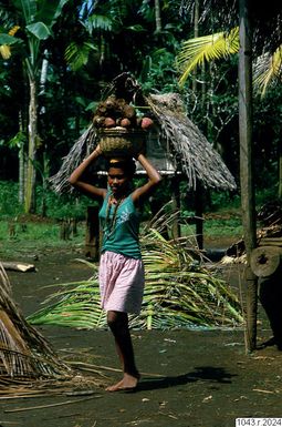 ["fotografi, photograph"]