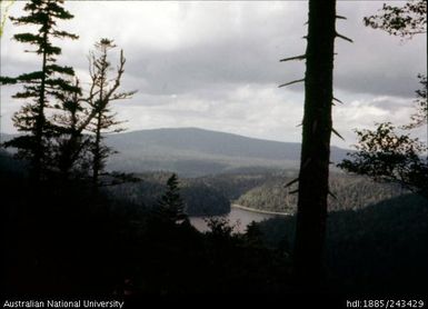 View out to pine covered mountains