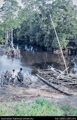 Mangroves at Kauwai: ADC Penuel and Willie Rogers by moored canoes