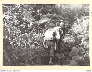 BOUGAINVILLE, 1945-06-07. A PATROL FROM 2/8 COMMANDO SQUADRON SETTING OUT ALONG THE TRACK TO HARASS THE ENEMY AND GAIN INFORMATION AHEAD OF THE ADVANCING INFANTRY. PATROLS TRAVEL LIGHT CARRYING ..