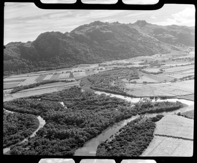 Cane fields with waterways, Nandi, Fiji