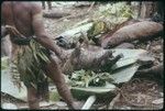 Food preparation: dead pig after bristles have been singed off, Nemengomp