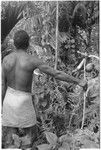 Tome Arika talking to ancestors behind men's house with niu'igani offering of taro and coconuts in hand