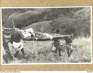 FINISTERRE RANGES, NEW GUINEA. 1944-01-23. NATIVES CARRYING A STRETCHER CASE DOWN A STEEP SLOPE FROM SHAGGY RIDGE, ON THE WAY TO THE ADVANCED DRESSING STATION AT GUY'S POST DURING THE ATTACK ON THE ..