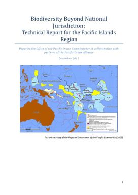 Biodiversity Beyond National Jurisdiction: Technical Report for the Pacific Islands Region