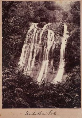 Waitakerei Falls. From the album: Tahiti, Samoa and New Zealand scenes