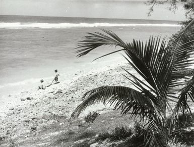 Pacific Islands - Cook Islands - Rarotonga - Scenics