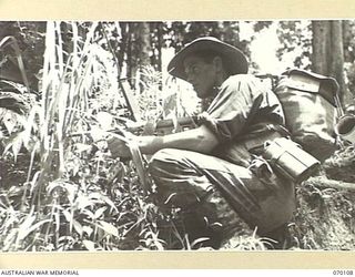 KETOBA, NEW GUINEA. 1944-01-29. V76017 SIGNALMAN P.J. RYAN, A FORWARD SCOUT OF SIGNAL PLATOON, HEADQUARTERS COMPANY OF THE 57/60TH INFANTRY BATTALION, KEEPING A KEEN LOOKOUT FOR JAPANESE DURING THE ..