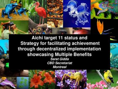 Aichi target 11 status and Strategy for facilitating achievement through decentralized implementation showcasing Multiple Benefits. International support: CBD Secretariat