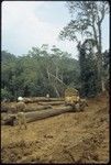 Men with tractor and lumber