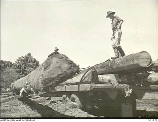 AITAPE, NORTH EAST NEW GUINEA. C. 1944-06. LOGS BEING UNLOADED AT A SAWMILL ESTABLISHED AND OPERATED BY NO. 7 MOBILE WORKS SQUADRON RAAF