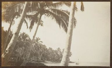 Beach scene From the album: Samoa