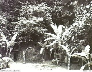 NEW BRITAIN, 1945-09. WELL PROTECTED FORMER JAPANESE STORAGE LOCATIONS IN THE RABAUL AREA. (RNZAF OFFICIAL PHOTOGRAPH.)