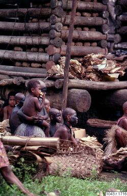 ["fotografi, photograph"]