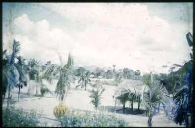 Mt. Lamington from Awala, 1951 / Albert Speer