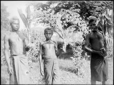 Three boys holding orchids in Chinnery's garden, Malaguna Road, Rabaul, New Guinea, ca. 1935 / Sarah Chinnery