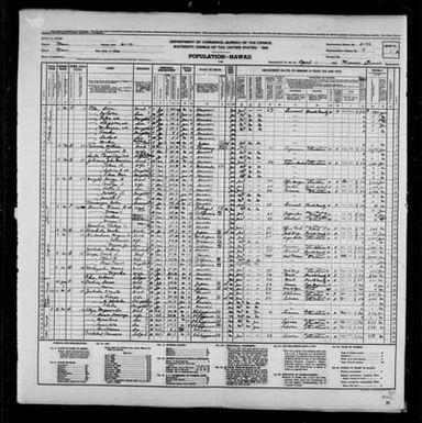 1940 Census Population Schedules - Hawaii - Maui County - ED 5-46