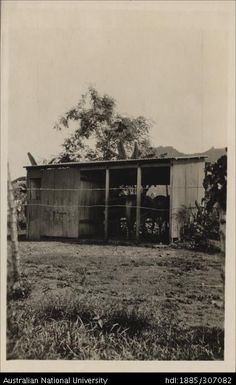 Tenant stable at Natova, Lautoka