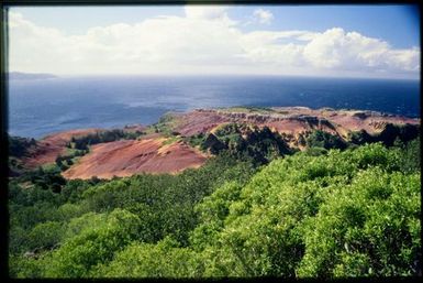 Vegetation and eroded landscape