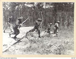 HERBERTON, QUEENSLAND. 1945-03-08. THE START OF THE "MAD MILE" DURING THE GENERAL OFFICER COMMANDING 9 DIVISION GOLD MEDAL COMPETITION, AS TROOPS LEAVE THE 600 YARDS MOUND OF THE HERBERTON RIFLE ..