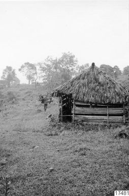 ["träd, hus, människa, fotografi, photograph"]