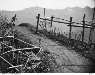 SHAGGY RIDGE, NEW GUINEA. 1944-01-10. THE GRAVES OF NX165473 LIEUTENANT S.M. MCCAUGHEY KILLED IN ACTION ON 1943-12-29 AND NX22021 PRIVATE J.T. BUCK BOTH OF THE 2/9TH INFANTRY BATTALION DIED IN THE ..