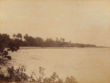 Lighthouse Suwarrow. From the album: Views in the Pacific Islands