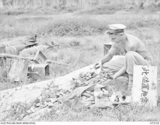 ALEXISHAFEN, NEW GUINEA. 1944-05-11. LEADING SEAMAN R.F. PEEL (1), A MEMBER OF A RMSU (RENDERING MINES SAFE UNIT) RAN, EXAMINES A BOOSTER CHARGE AT ALEXISHAFEN NO. 1 AIRSTRIP, THE BOOSTER CHARGE, ..