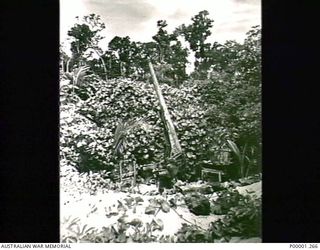 THE SOLOMON ISLANDS, 1945-10-13. A JAPANESE 75MM FIELD ANTI-AIRCRAFT GUN, IN ITS JUNGLE POSITION ON BOUGAINVILLE ISLAND. THIS GUN WAS MOBILE AND WAS USED EXTENSIVELY THROUGHOUT THE PACIFIC ..