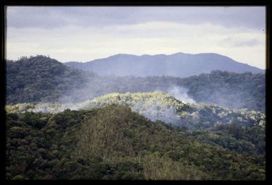 Signal fires in rainforest