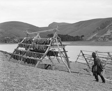 Te mahi tuna ki Wairewa (Lake Forsyth)