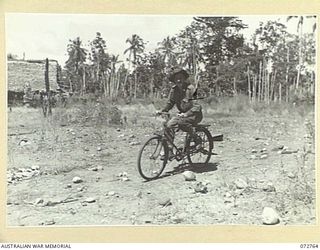 BOGADJIM, NEW GUINEA. 1944-04-26. V43231 PRIVATE E. DENISON, 57/60TH INFANTRY BATTALION, RIDING A CAPTURED JAPANESE BICYCLE