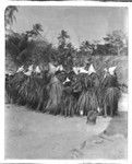 Santa Catalina dancers dressed with leaf skirts and conical hats