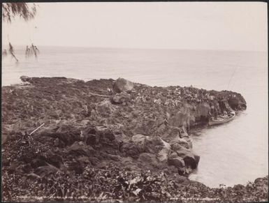 Villagers of Merelava on the landing rock, Banks Islands, 1906, 1 / J.W. Beattie
