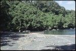 Man on shoreline