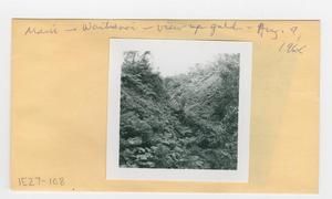 [View up gulch in Hawaii, envelope IE27-108]