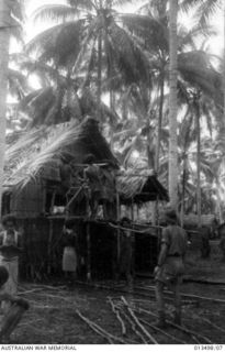 1942-09-09. PAPUAN NATIVES BUILDING HUTS FOR AUSTRALIAN OFFICERS. PALM LEAVES ARE USED FOR ROOFING AND SAGO BARK FOR WALLS. THE NATIVES SCORN THE USE OF NAILS AND WIRE OR OTHER MODERN ACCESSORIES ..