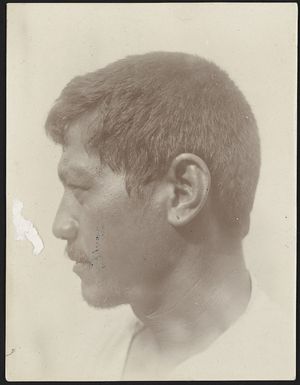 Portrait of Tsone from Noatau, Rotuma