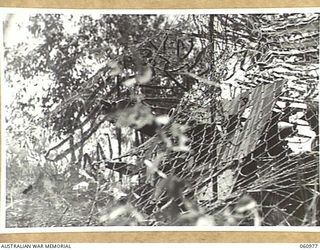 DONADABU AREA, NEW GUINEA. 1943-12-01. NO. 4 GUN OF THE 2/4TH AUSTRALIAN FIELD REGIMENT WELL CAMOUFLAGED DURING THE COMBINED EXERCISES WITH THE 2/10TH AUSTRALIAN INFANTRY BATTALION