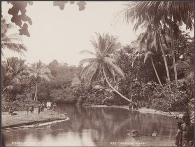 Local people at a creek near Roas Bay, Malaita, Solomon Islands, 1906 / J.W. Beattie