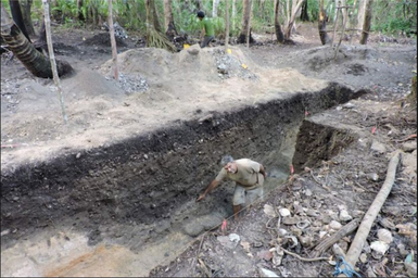 Tongan site dates oldest in Polynesia