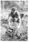 Sēmisi Tokalahi (Sāmiu's eldest brother) planting Sāmiu's yams.