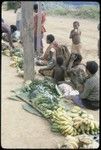 Tabibuga: people selling sugarcane, bananas, greens and other garden produce at market