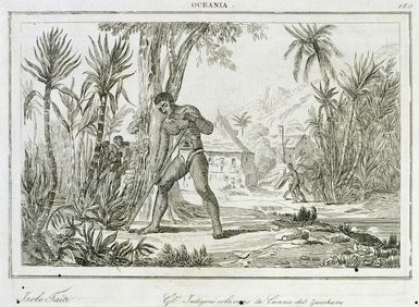 Artist unknown :Isole Taiti. Gl'indigeni coltivono la canna del zucchero. [1838-43].