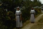 Papuan New Guinean nuns, Roman Catholic Mission, Port Moresby, May 1965